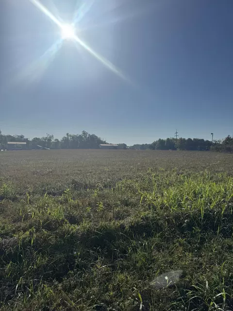 436 Reese Rd, Russell Springs, KY 42642