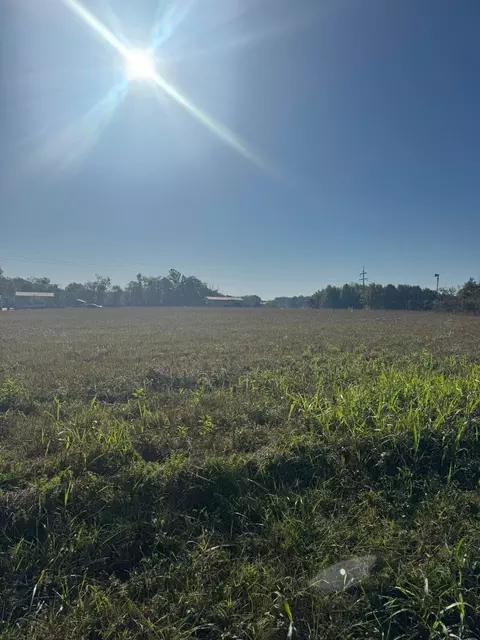 462 Reese Rd, Russell Springs, KY 42642