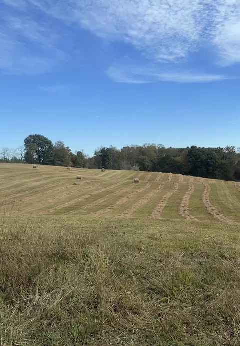 250 Mcclendon Rd, Nancy, KY 42544 photo 7