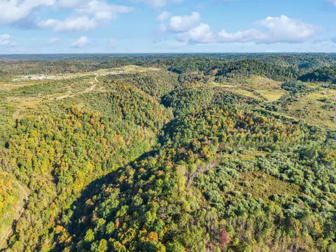 View/Area - 320 Paradise Ln, Soft Shell, KY 41831 photo 19 of 21