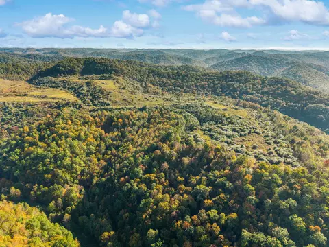 View/Area - 320 Paradise Ln, Soft Shell, KY 41831 photo 20 of 21