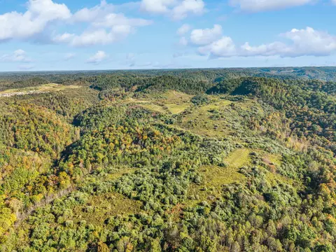 View/Area - 320 Paradise Ln, Soft Shell, KY 41831 photo 18 of 21