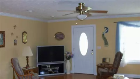 532 Alice Roy Rd, Windsor, KY 42565 photo 5