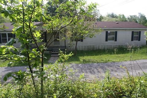 55 Everett Neal Rd, Strunk, KY 42649 photo 3