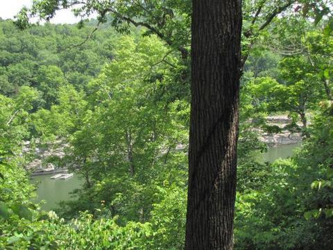 156 Ebb Dr, Burnside, KY 42519 photo 5