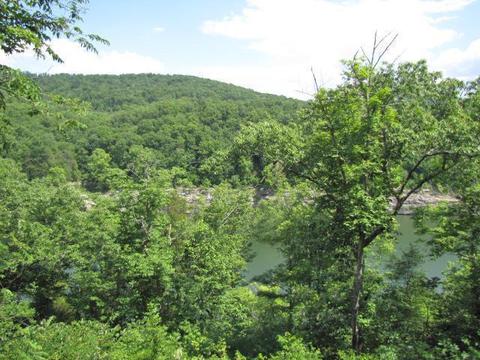 156 Ebb Dr, Burnside, KY 42519 photo 3