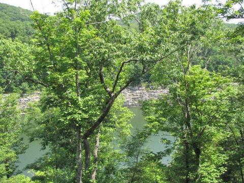 156 Ebb Dr, Burnside, KY 42519 photo 17
