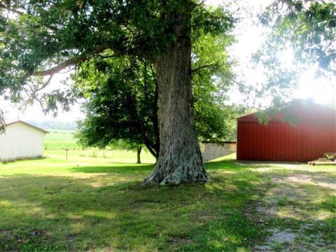 3105 Goochtown Rd, Eubank, KY 42567 photo 17