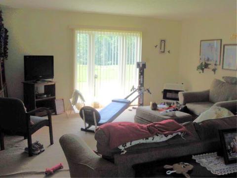 3105 Goochtown Rd, Eubank, KY 42567 photo 5