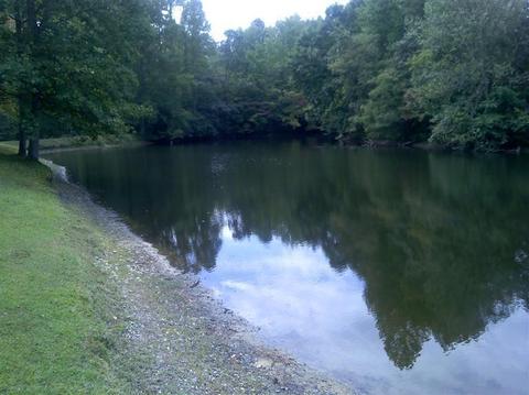 237 Round Top Rd, Pine Knot, KY 42635 photo 5
