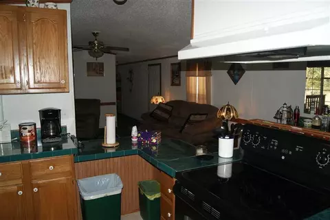 208 Danny Dr, Burnside, KY 42519 photo 39