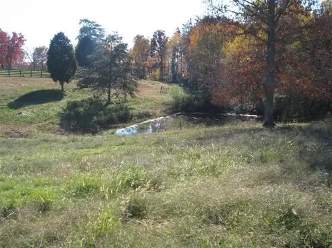 54 Goad Ln, Burnside, KY 42519 photo 8