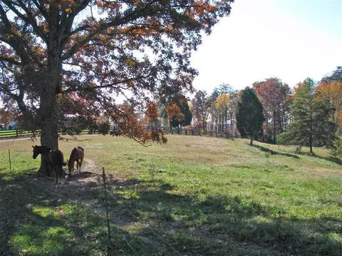 54 Goad Ln, Burnside, KY 42519 photo 4