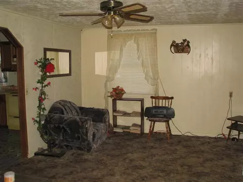 54 Goad Ln, Burnside, KY 42519 photo 16