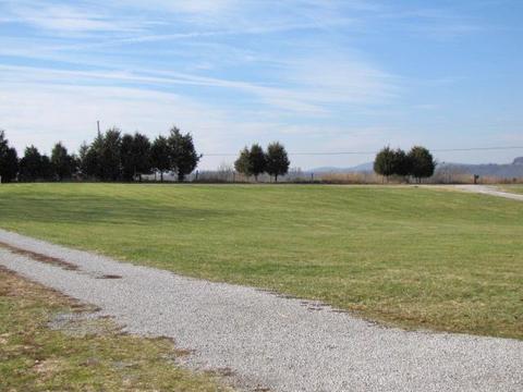 690 Stringtown Rd, Science Hill, KY 42553 photo 3