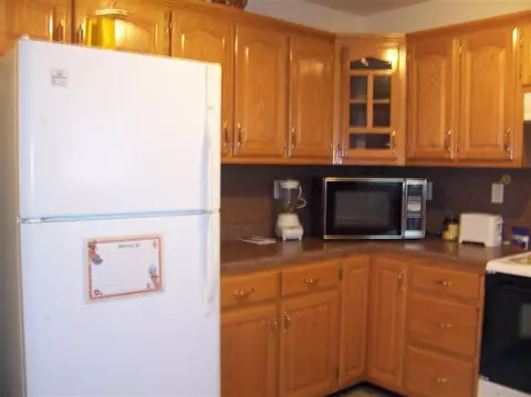 13 Gander, Nancy, KY 42544 photo 14