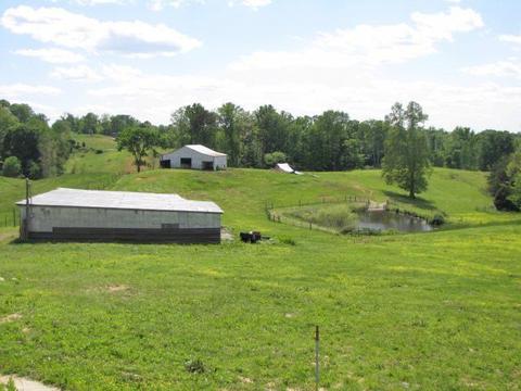 1394 Faubush Rd, Nancy, KY 42544 photo 47