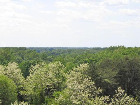 1394 Faubush Rd, Nancy, KY 42544 photo 44