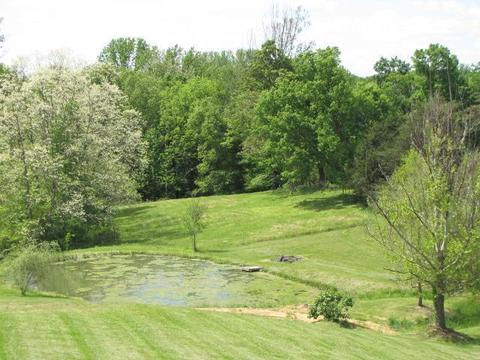 1394 Faubush Rd, Nancy, KY 42544 photo 5