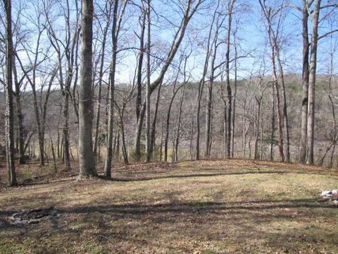 1774 Lakeview Ave, Burnside, KY 42519 photo 6