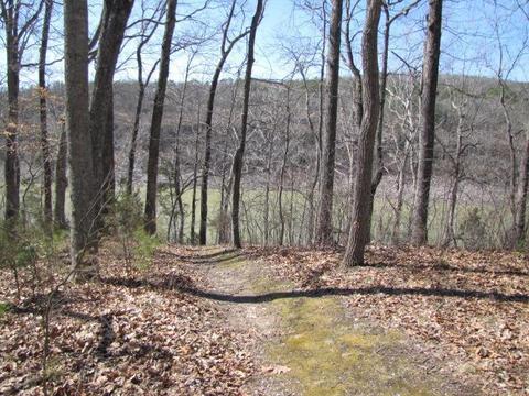 1774 Lakeview Ave, Burnside, KY 42519 photo 9