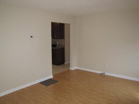 417 Renee St, Nancy, KY 42544 photo 6