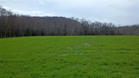 268 Rainwater Rd, Nancy, KY 42544 photo 31