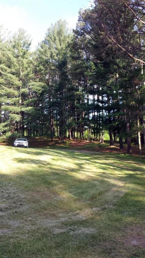 151 Beasley Rd, Nancy, KY 42544 photo 32