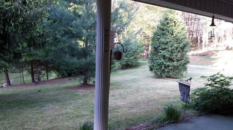 151 Beasley Rd, Nancy, KY 42544 photo 40