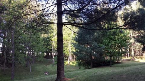 151 Beasley Rd, Nancy, KY 42544 photo 37