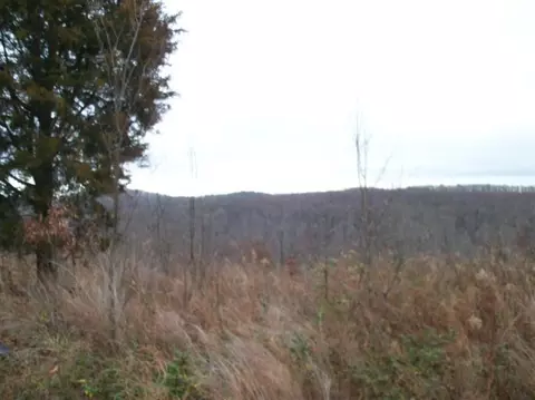 808 Heath Rd, Burnside, KY 42519 photo 5
