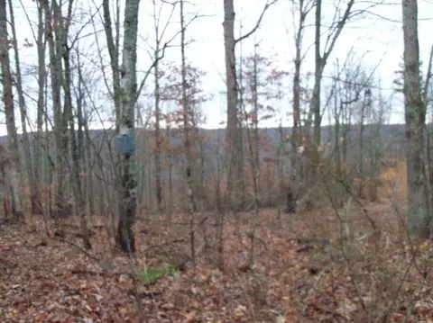 808 Heath Rd, Burnside, KY 42519 photo 1
