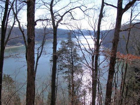 2309 Pole Bridge Rd, Nancy, KY 42544 photo 21