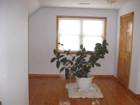 364 Prather Dr, Nancy, KY 42544 photo 23