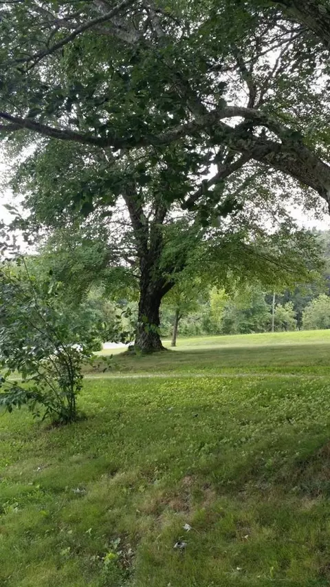 812 Faubush Rd, Nancy, KY 42544 photo 3