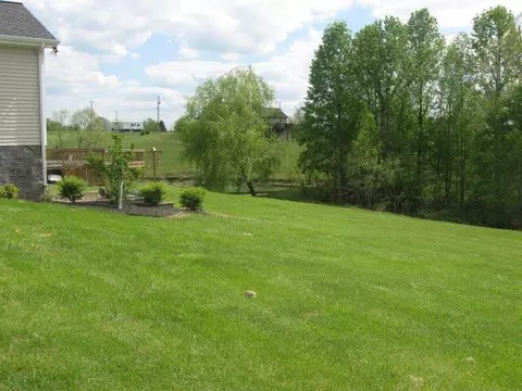 457 Alice Roy Rd, Windsor, KY 42565 photo 33