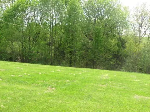 457 Alice Roy Rd, Windsor, KY 42565 photo 34