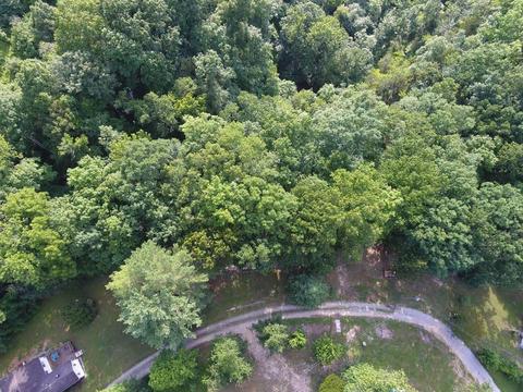 31 Burnt Mill Ln, Nancy, KY 42544 photo 9