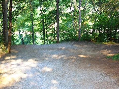 21 Lake Dr, Burnside, KY 42519 photo 30