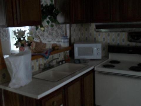 210 Spring Branch Rd, Nancy, KY 42544 photo 8
