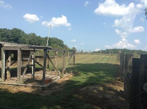 1440 Texas School Rd, Eubank, KY 42567 photo 43