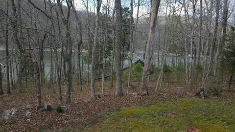 181 River Rd, Burnside, KY 42519 photo 16