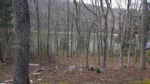 181 River Rd, Burnside, KY 42519 photo 15