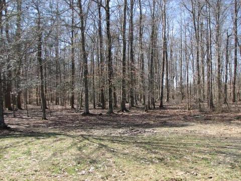 85 Pine Meadow Dr, Nancy, KY 42544 photo 12