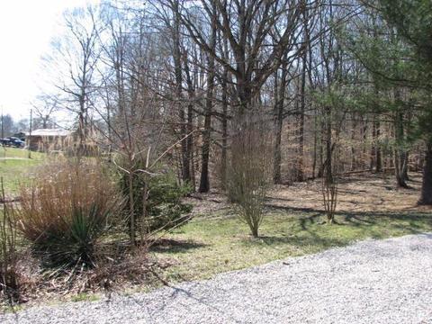 85 Pine Meadow Dr, Nancy, KY 42544 photo 25