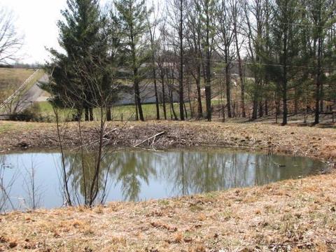 85 Pine Meadow Dr, Nancy, KY 42544 photo 19