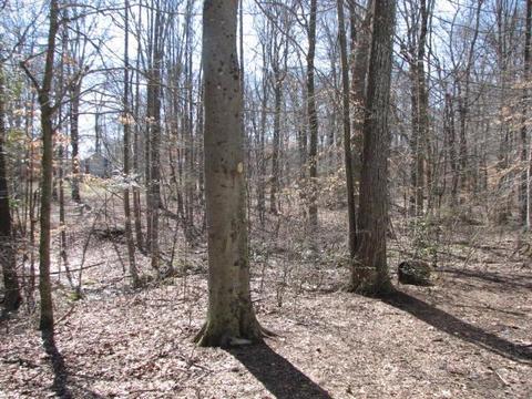 85 Pine Meadow Dr, Nancy, KY 42544 photo 8
