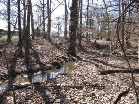 85 Pine Meadow Dr, Nancy, KY 42544 photo 3