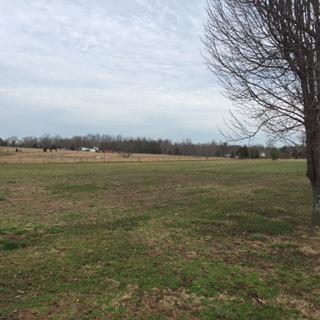 1723 Highway 865, Eubank, KY 42567 photo 11