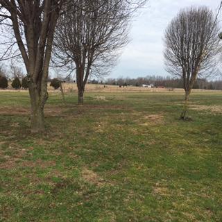 1723 Highway 865, Eubank, KY 42567 photo 18